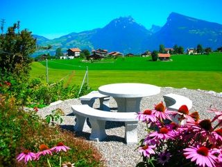 Ferienwohnung Aeschi bei Spiez Ferienwohnung Mehlbaum immagine 1
